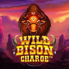 wildbisoncharge